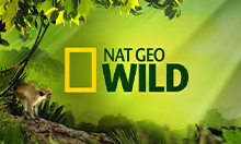 National Geographic Wild program tv