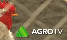 Agro TV