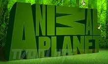 Animal Planet HD Online